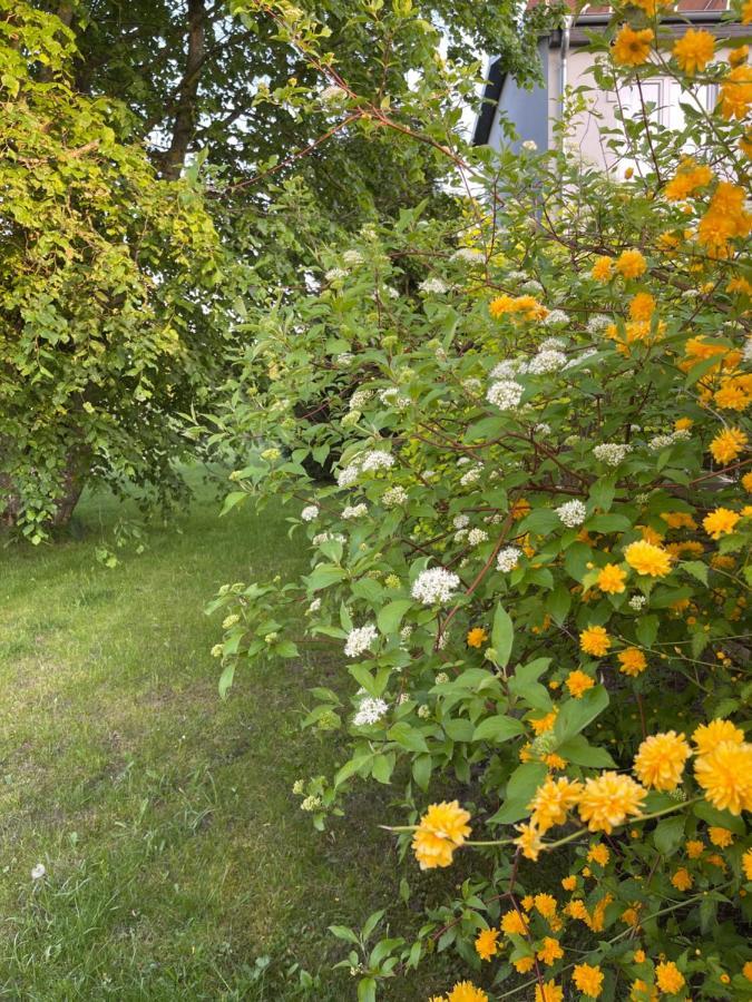 Gawramaszki - Agroturystyka - Komfortowe Pokoje Z Lazienkami I Aneksami Kuchennymi فينغوجيفو المظهر الخارجي الصورة