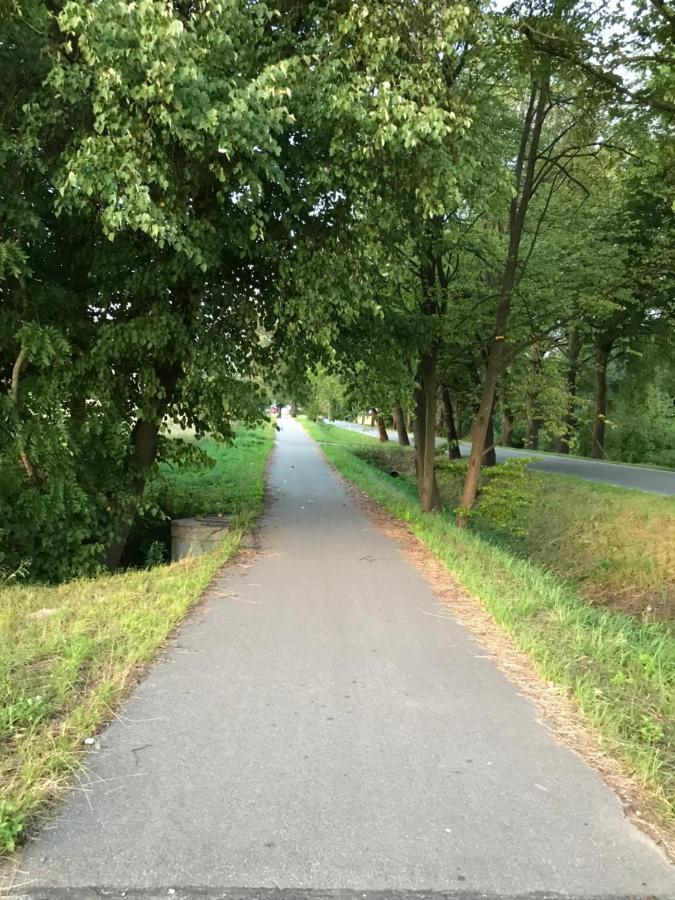 Gawramaszki - Agroturystyka - Komfortowe Pokoje Z Lazienkami I Aneksami Kuchennymi فينغوجيفو المظهر الخارجي الصورة